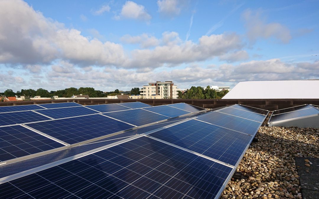 Ecological footprint and environmental corporate responsibility